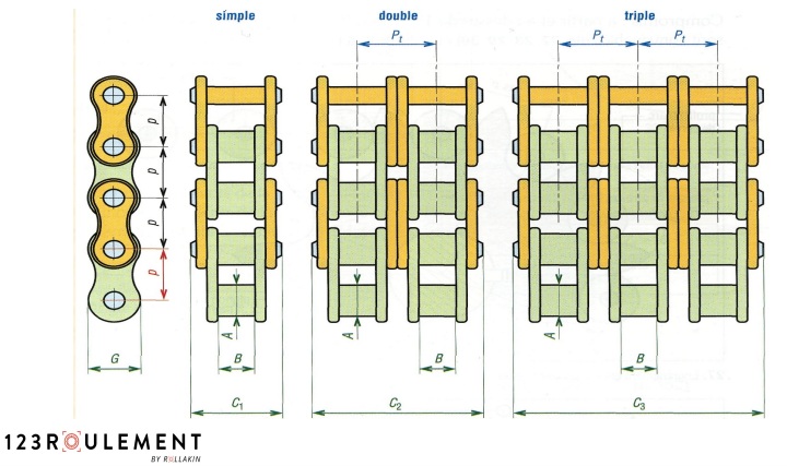 dimensions pas