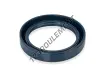 BASL-17X30X7-8-NBR-CORTECO