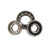 16005-TN9-SKF