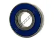 6001-2RS-INOX-NSFH1