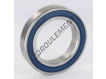 6013-2RS-INOX