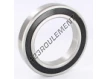 6019-2RS-INOX