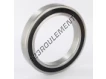 61918-2RS-INOX
