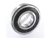 6313-2RS1-SKF