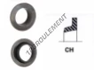 CH-20X35X10-NBR80