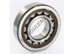 NJ310-ECP-SKF
