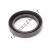 OAS-50X72X12-FPM