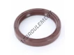 OAS-55X68X10-FPM