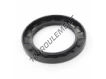 OAS-68X100X10-NBR