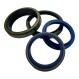 RS-20X30X7-10-NBR90