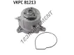VKPC81213-SKF