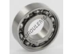 W6003-SKF