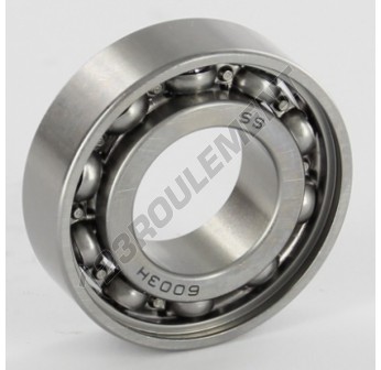 W6003-SKF
